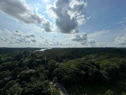 Eco Sanctuary (D23), Condominium #485863861